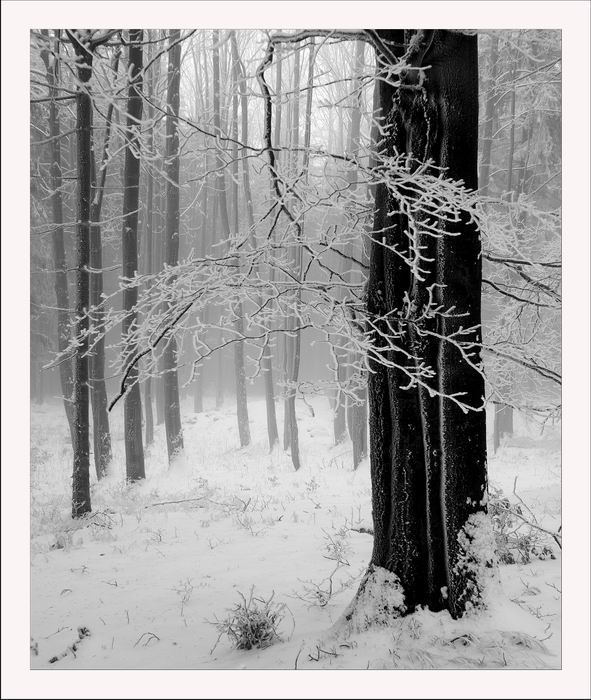 ...in fog...
