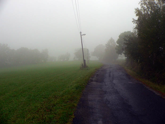 fog