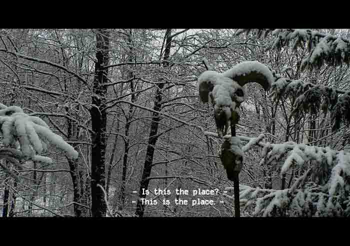 The Place