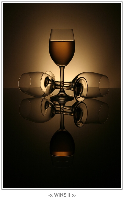 -x WINE II x-
