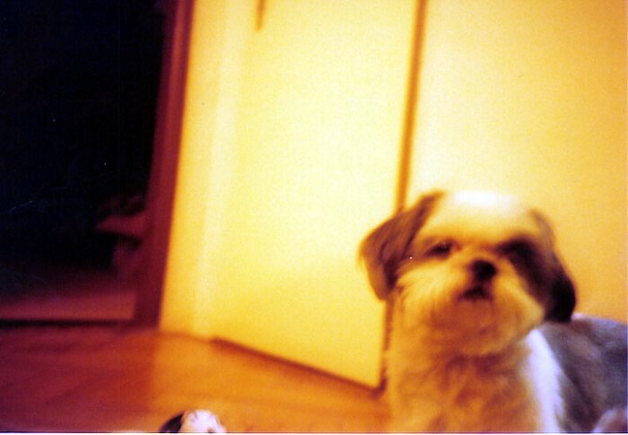 oskar
