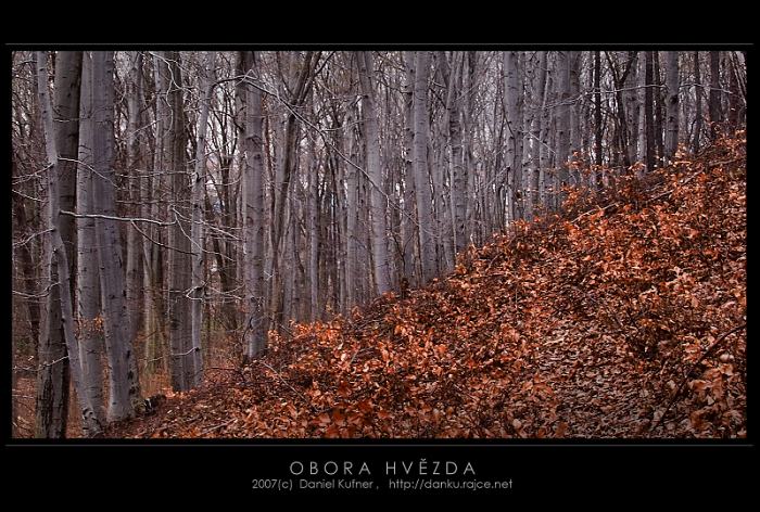 HOREM-DOLEM