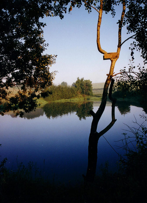 Ranní idylka