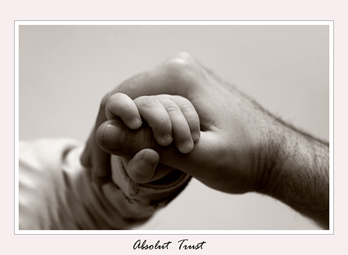 Absolut Trust