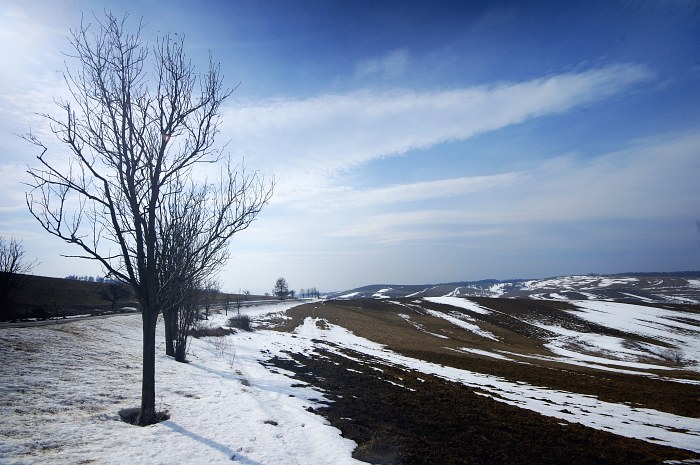 prebúdzanie