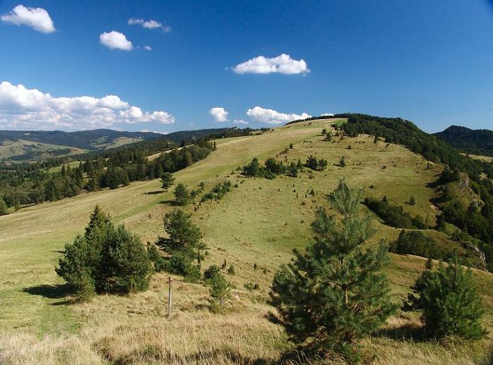 Spomienka na  leto