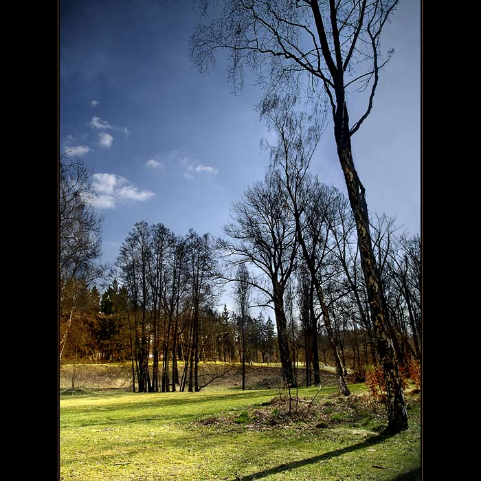 ***PARKOVÉ POHLEDY II.***