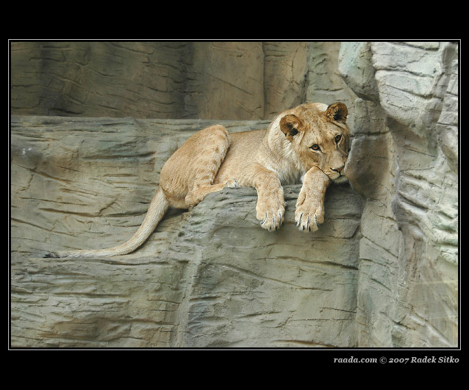 Zoo Svatý kopeček, Olomouc