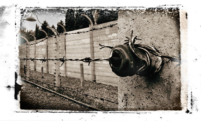 Fragment of Auschwitz