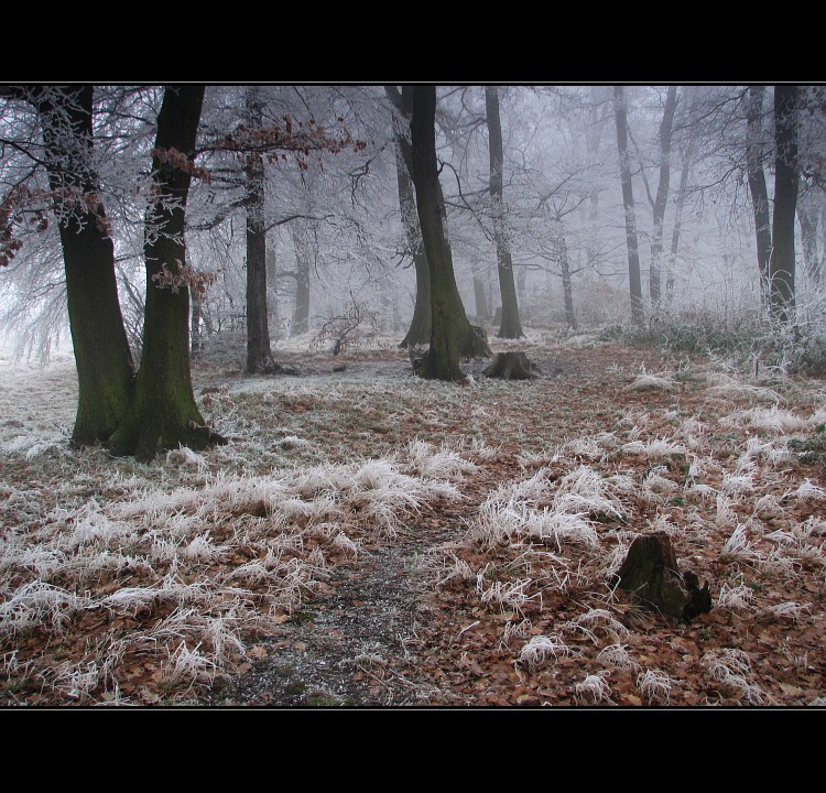 Túlavým chodníkom  XVI.