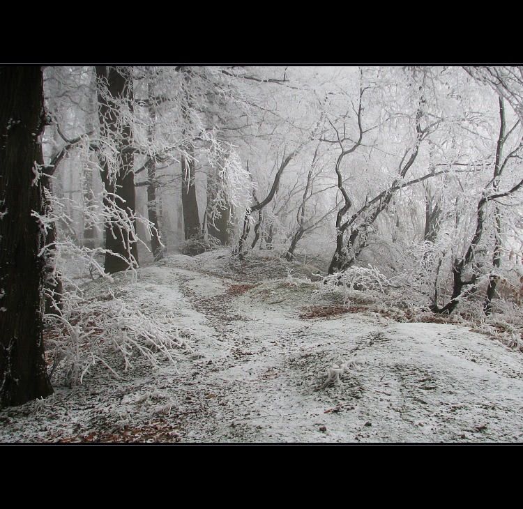 Túlavým chodníkom  XIX.