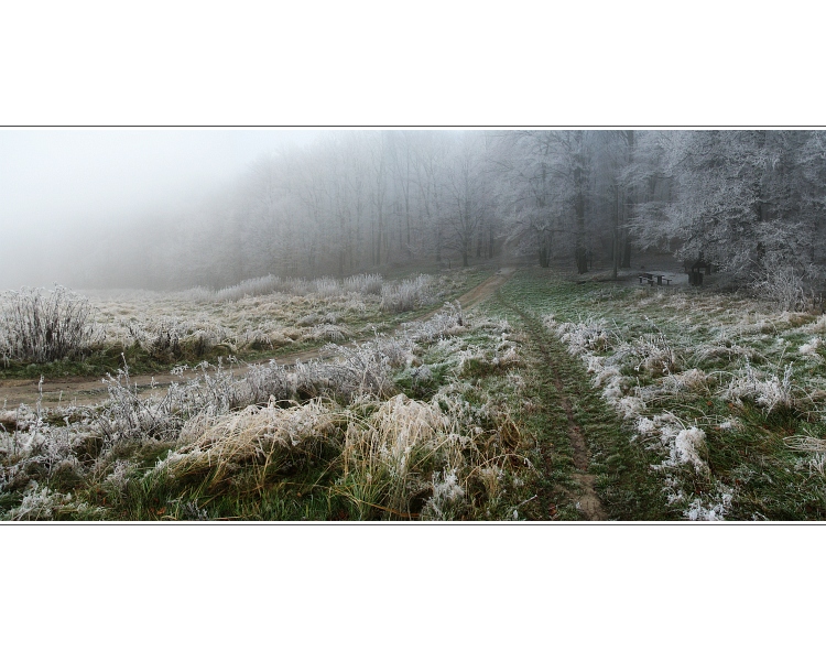 Bratislavská Koliba   II.