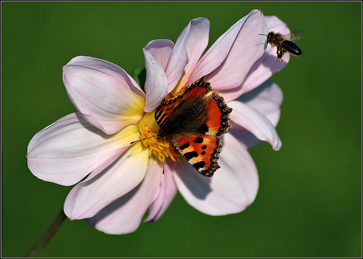 to je doba, to je doba ...