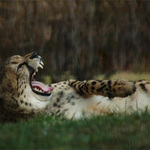 Další náročný den...