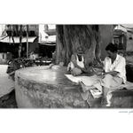 Obyčejné odpoledne