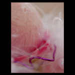 - about the candle II. -