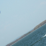 Kite II.