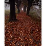 A rána sú tu tiché...