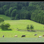 Jedna z prvních fotek na PP :)