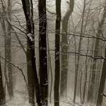 ...zimná nostalgia...