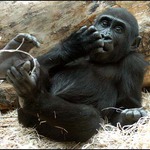Moja_ZOO Praha