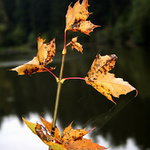 Třeba budu taky jednou velký