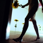 Sunflowers in living room