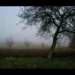 mlha stokrát jinak 015