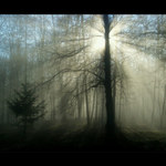 mlha stokrát jinak 016