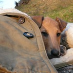 Aireen - velká unava