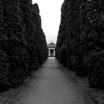 Novodvorský hřbitov