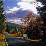 Něco z podzimních cest po Šumavě