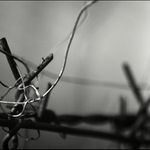 Ze života plotu II...