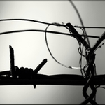 Ze života plotu IV...