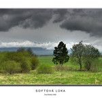 Softová lúka