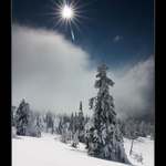 Ze zimních Krkonoš