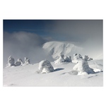 Zimní sen Krkonošský