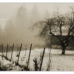 zima v ciernom balogu (XY)