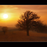 ...slunce jde spát IV...