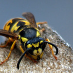 Opět test objektivu.