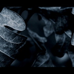 studený podzim.........