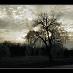 *** To unfold ***