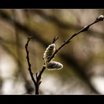 ...ještě je mi zima...