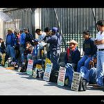 .:: Zn. Hledám práci ::.