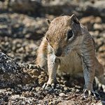 tak kdo z koho, no....