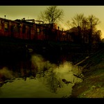 Meli tam bejt i kachny...