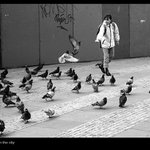 zmatení ptáci, zmatené děti..