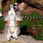 Nemám ho nijak extra velkého.. ale nevydržela to!