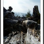 Vzpomínka na Jeseník