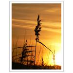 Sám ve slunci západu..